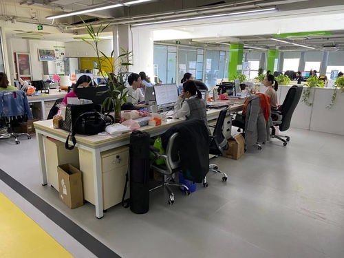 上地西二旗中關(guān)村軟件園1065平精裝辦公樓 即租即用，助力軟件開發(fā)企業(yè)高效啟航